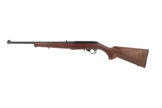 Ruger 22lr rifle features standard sights